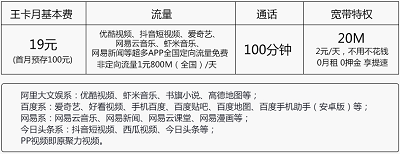 号码网 电信:大王卡专享